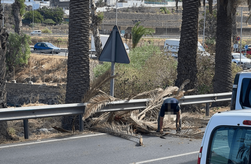 Un conductor retira las hojas de palmera caídas sobre la carretera de Jinámar / TA